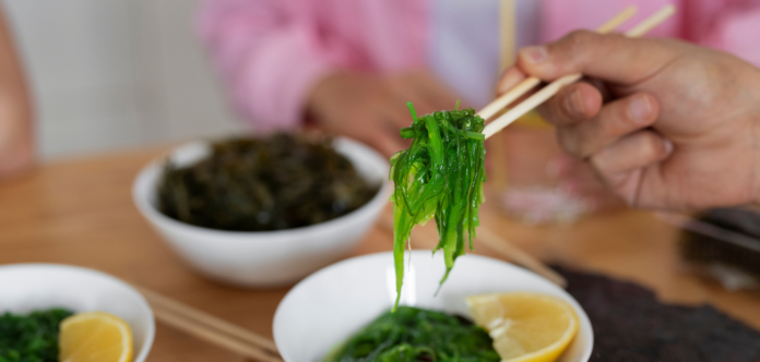 Health Benefits of Sea Moss